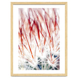 Delicate Florals thumbnail
