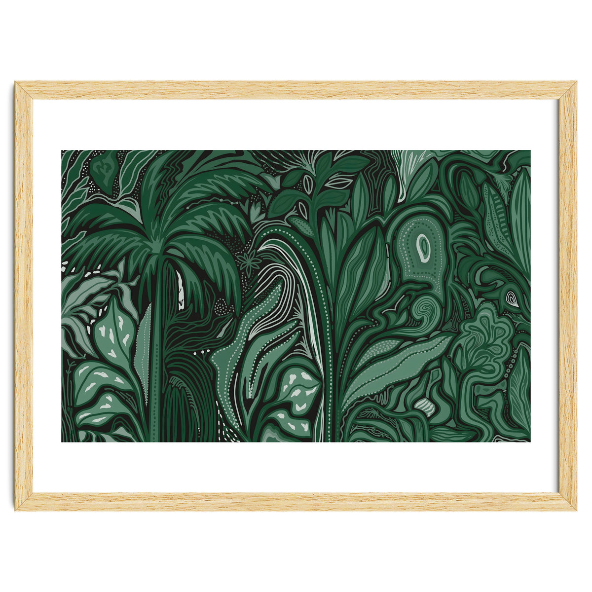 Noctiverdis magnifolia arcana tropical green