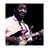 Muddy Waters American Blues Singer Legend Colorful Art (Print Only) thumbnail