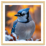 Blue Jay Bird In Winter Snowfall And Leaves thumbnail