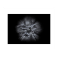 Backyard Flowers In Black And White No 66 Flow Version (Print Only)