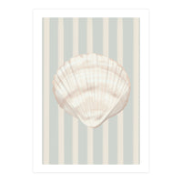 Sea shell (Print Only)