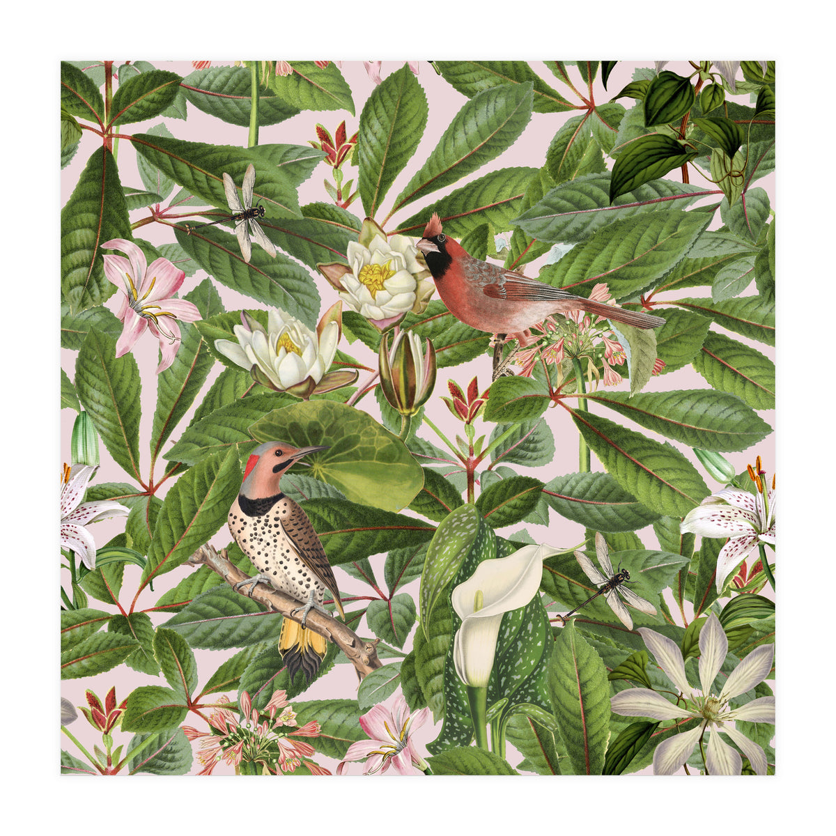 Tropical Bird Garden (Print Only)
