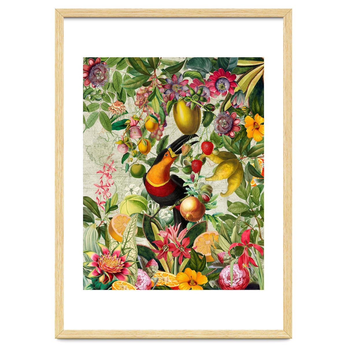 Toucan vintage jungle 1