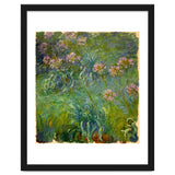 Claude Monet (1840-1926). Agapanthus. thumbnail