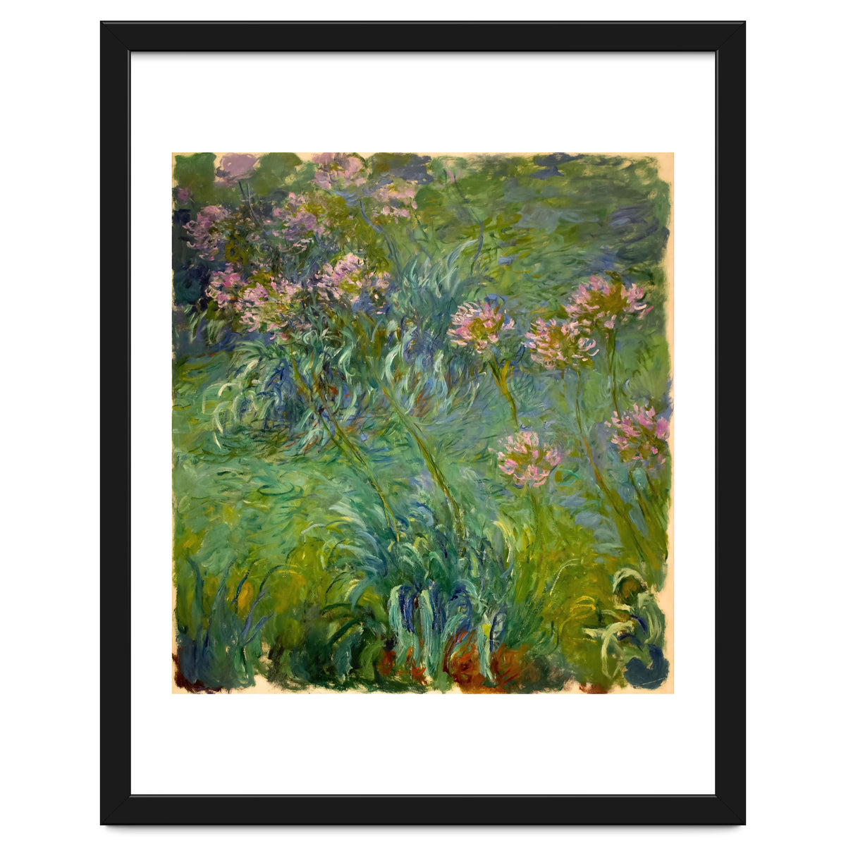 Claude Monet (1840-1926). Agapanthus.