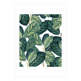 Botany #society6 #decor #buyart (Print Only) thumbnail