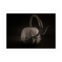 Gourds No 14 (Print Only)