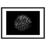 Backyard Flowers In Black And White No 68 with Border thumbnail