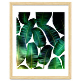 Cosmic Banana Leaves thumbnail