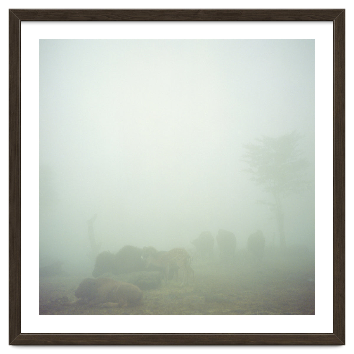 Silence of breath - 03