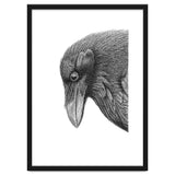 Huginn thumbnail