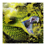 Green Viper Reptile (Print Only) thumbnail