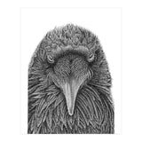 Muninn (Print Only) thumbnail