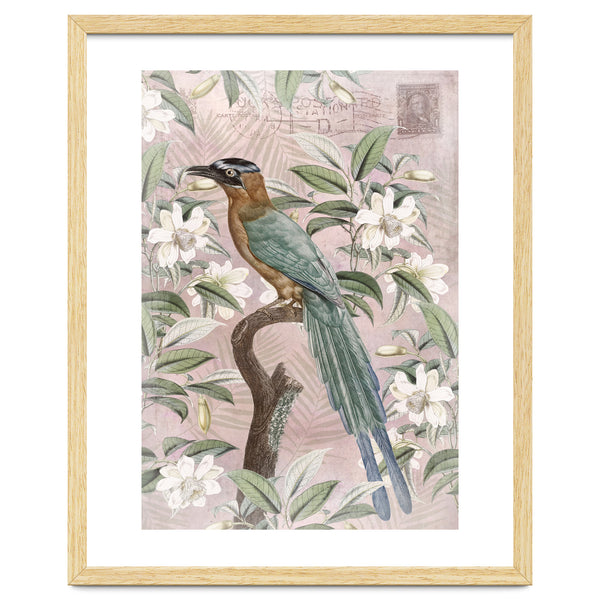 Exotic Bird