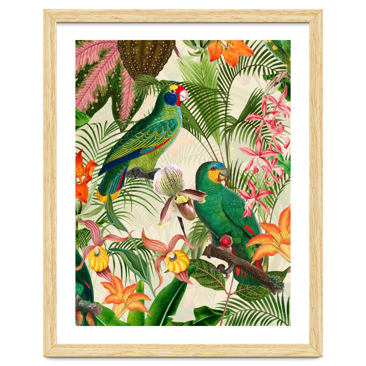 Parrots in tropical Jungle