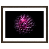 Backyard Flowers No 57 Color Version thumbnail