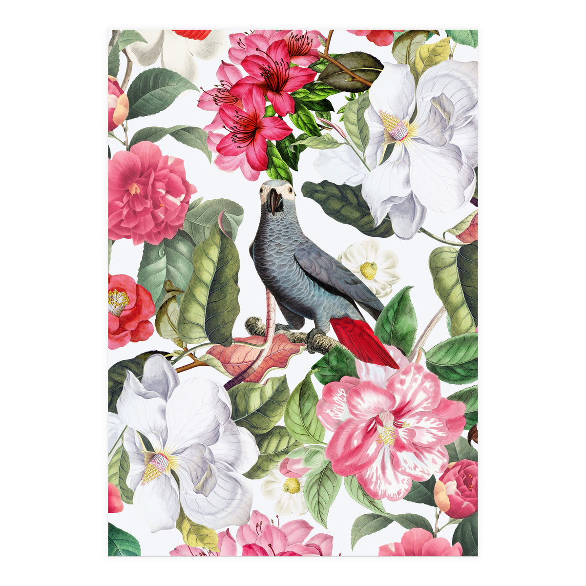 Vintage Cockatoo in Flower Jungle (Print Only)