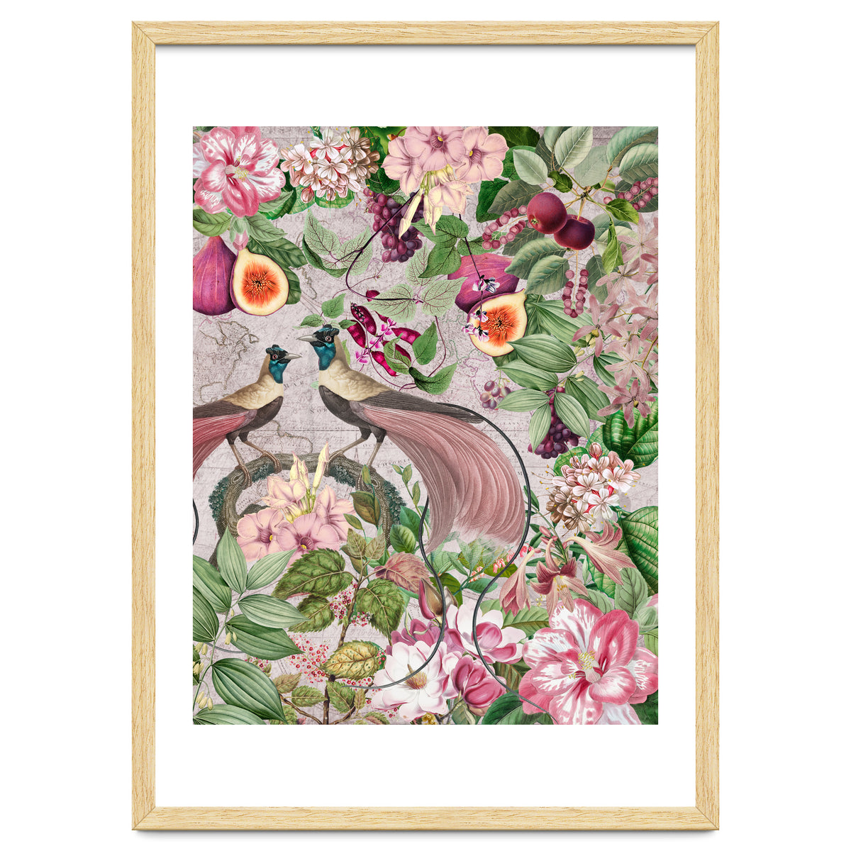 Vintage Birds Of Paradise Jungle