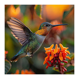 Hummingbird Hovering Near Orange Flowers (Print Only) thumbnail