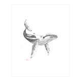 Whale (Print Only) thumbnail