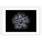 Backyard Flowers In Black And White No 66 Flow Version thumbnail
