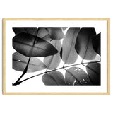 Branches and Leaves, 2016, 3 thumbnail