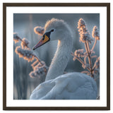Swan Portrait Dew Drops Morning Light thumbnail