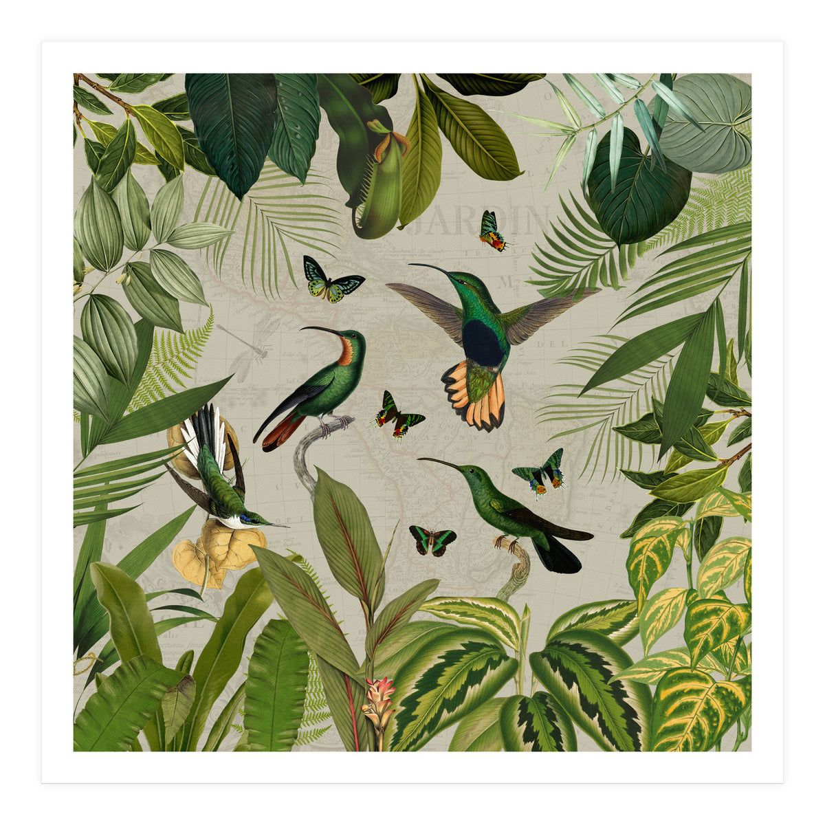 Vintage Exotic Hummingbirds Jungle (Print Only)