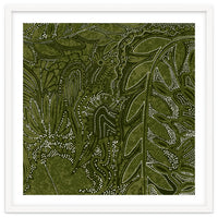 Forest Dense Foliage