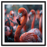 Beautiful Close Up Of A Pink Flamingo Bird thumbnail