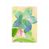 A Peaceful World (Print Only) thumbnail