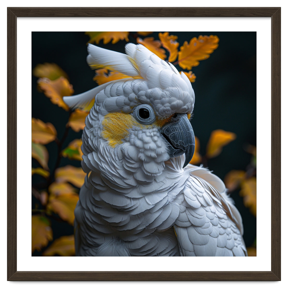 Yellow Crested Cockatoo Portrait Autumn Leaves Dark