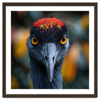Close Up Of A Strikingly Beautiful Bird Face