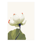 Alive (Print Only) thumbnail