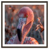 Close Up Of A Pink Flamingo Head In Sunlight thumbnail