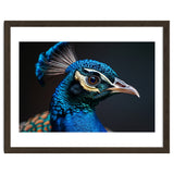 Close Up Peacock Head Blue Green Feather thumbnail