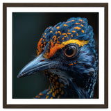 Close Up Of A Colorful Bird Head And Eye thumbnail