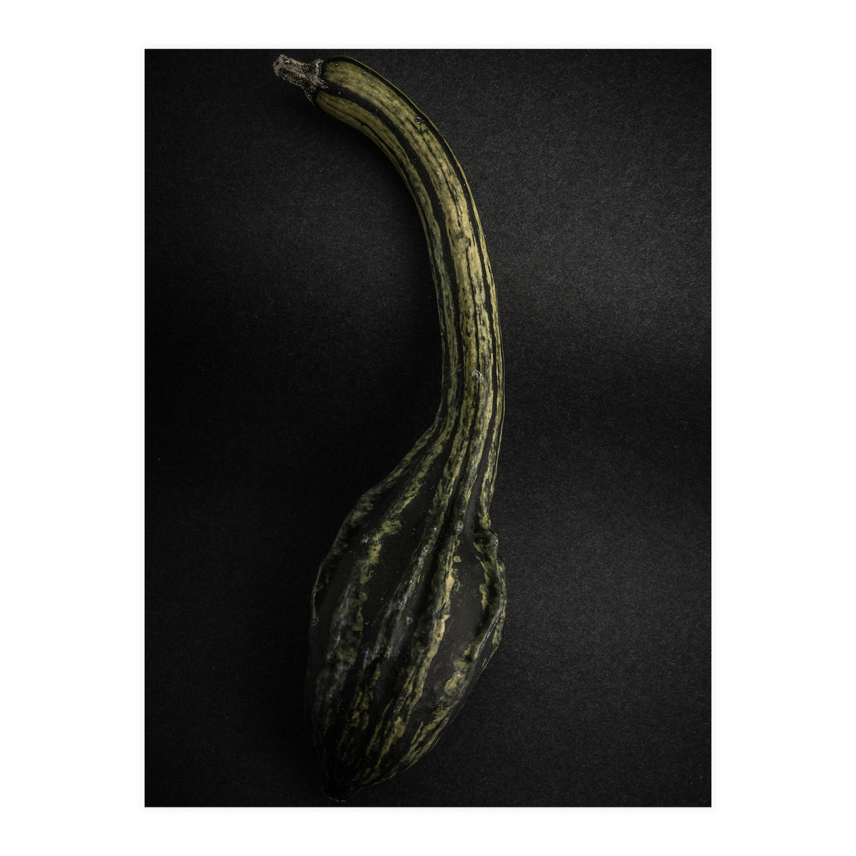 Gourds No 9 Color Version (Print Only)