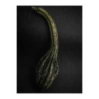 Gourds No 9 Color Version (Print Only)
