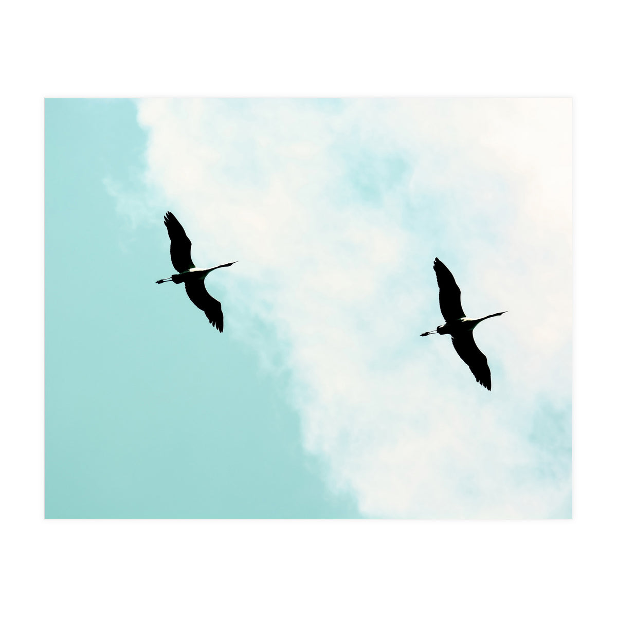 Crane(s) V (Print Only)