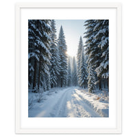Serene Winter Wonderland Forest Road