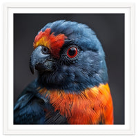 Close Up Portrait Of A Colorful Parrot