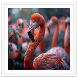Beautiful Close Up Of A Pink Flamingo Bird thumbnail