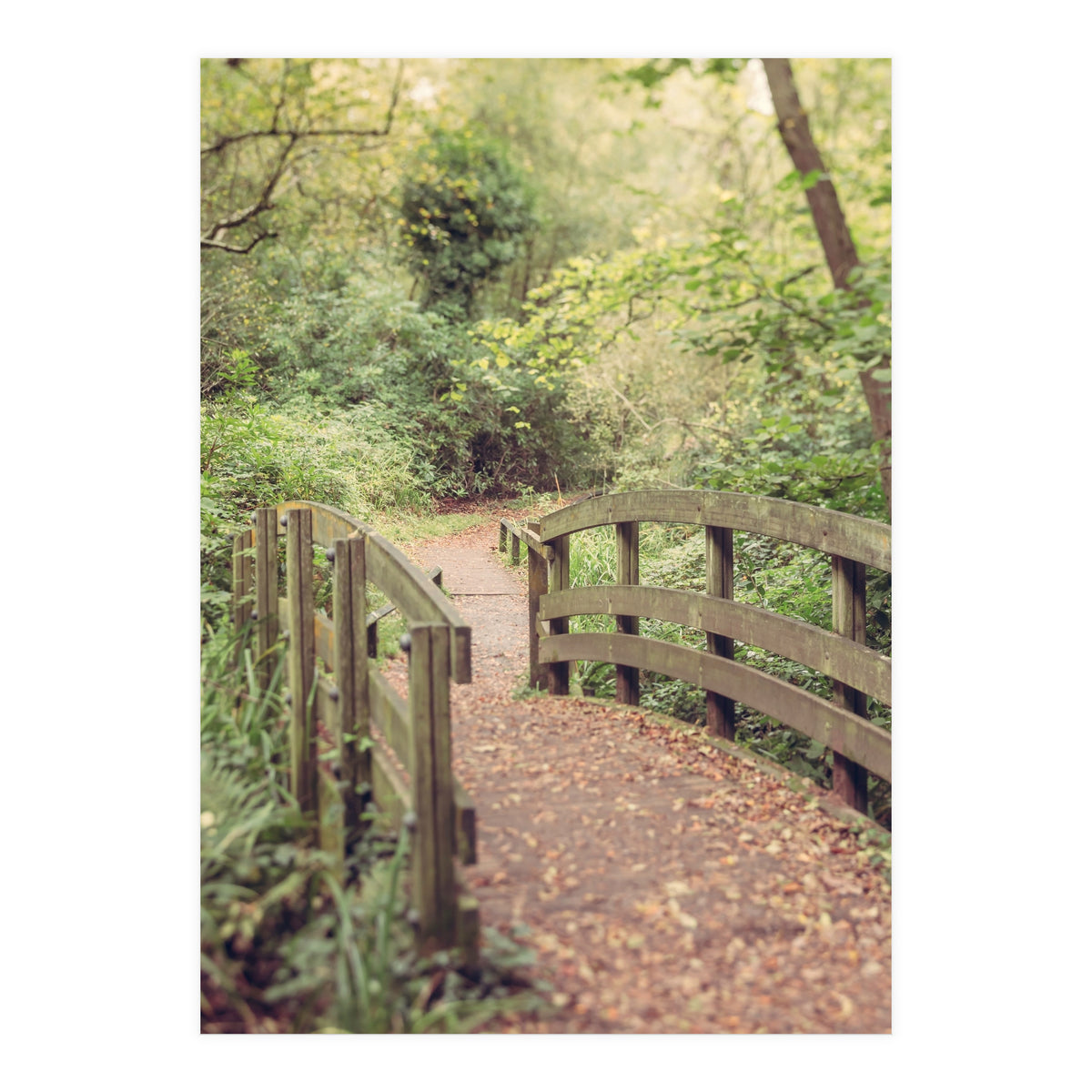 Path To The Bridge (Print Only)