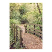 Path To The Bridge (Print Only)