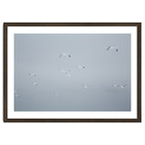 Flying seagulls in the winter sky thumbnail