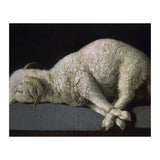Agnus Dei - ca.1635-40 - oil on canvas - 37,3 x 62 cm - Spanish Baroque - NP 7293. (Print Only) thumbnail
