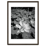 Hylas | Black & White thumbnail