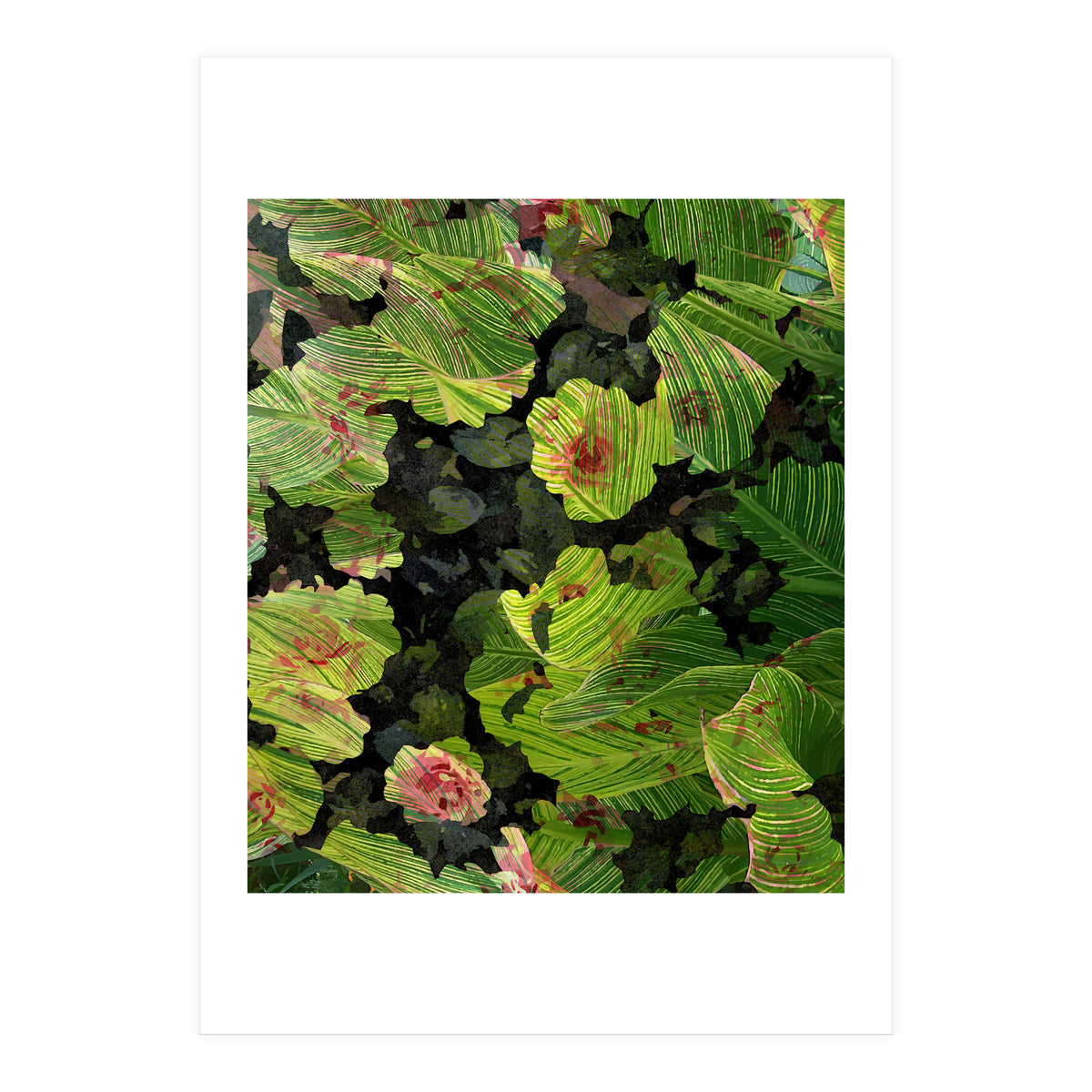 Undefined Joy V3 (Print Only)